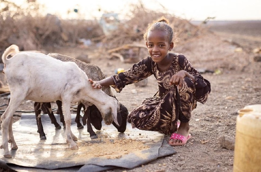 Rapid response brings relief to drought-affected communities in Marsabit