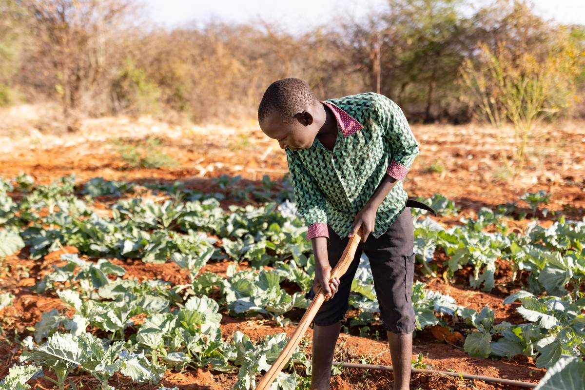 Empower smallholder farmers for food security