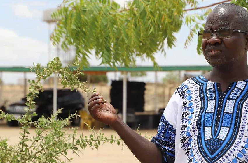 Mentoring young people for a brighter future