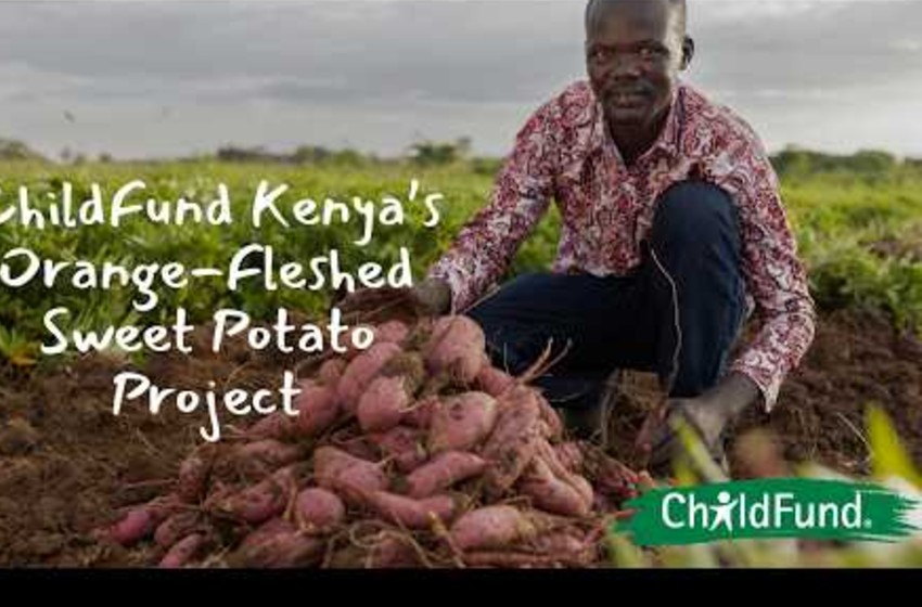 ChildFund Kenya’s Orange-Fleshed Sweet Potato Project