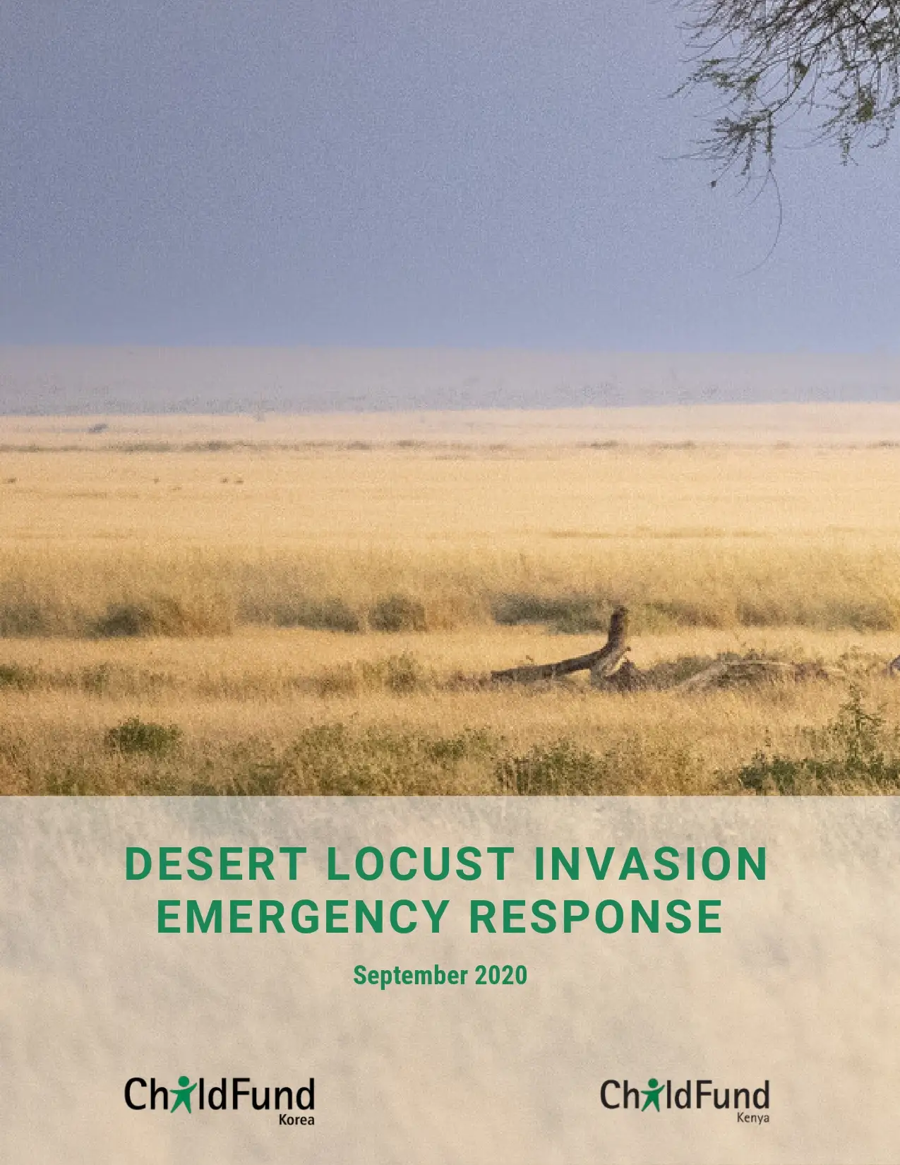 Desert Locust Invasion Emergency Response Report