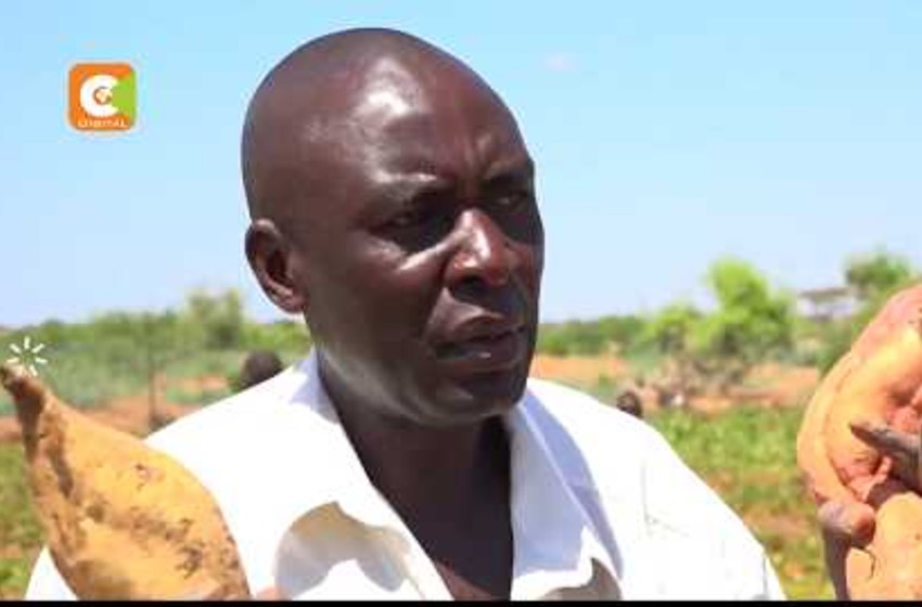 Smart Farming in Turkana