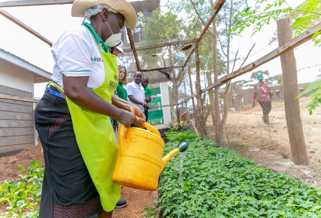 500,000 trees planted as youth-led climate action gains ground in Machakos, Kiambu and Kajiado