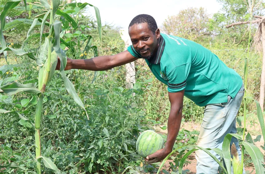 Scaling nature-based solutions for ecosystem restoration in Kajiado, Makueni and Kiambu